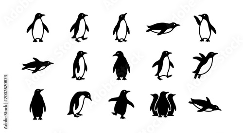 Fotografie Penguin Vector Icons Set: Diverse Antarctic Wildlife Poses, Black and White Silh