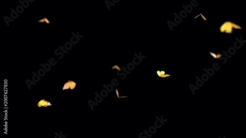Animation yellow buterfly on black background.