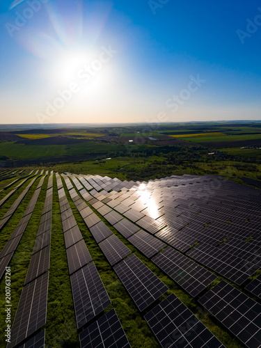 Fotografie Solar panels are placed in rows on a green hill under a blue sky with the sun sh