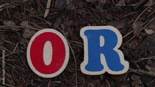 Wooden red 'O' and blue 'R' letters on forest floor. Ideal for educational materials, children's content, or creative textual displays.