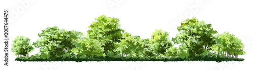 Cuadro en lienzo Vector watercolor of tree side view isolated on white background for landscape a