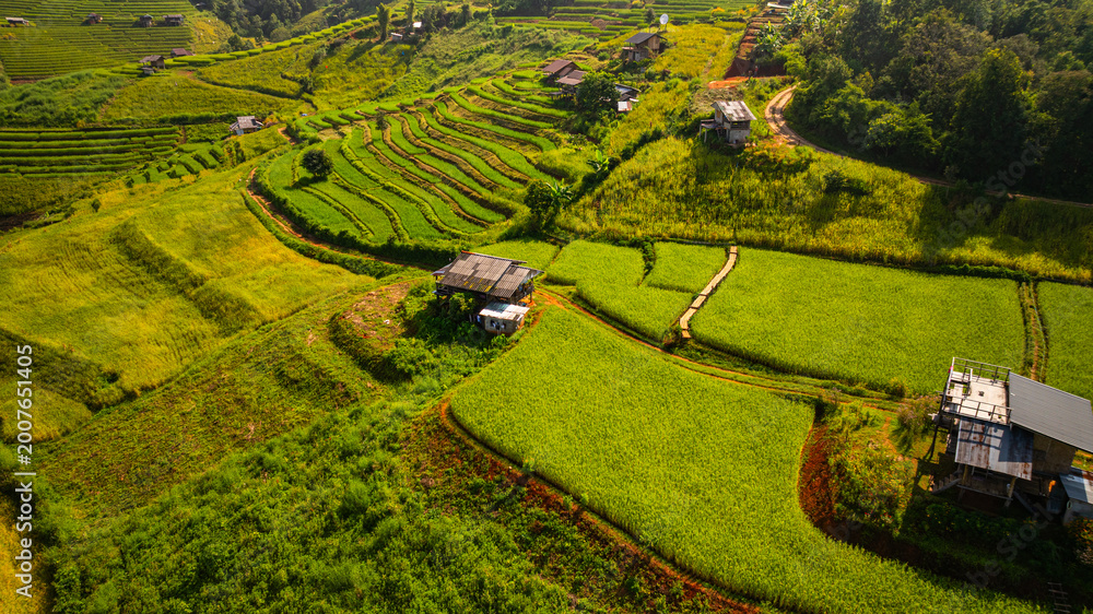 Fototapeta premium A scenic view of Pa Bong Piang rice terraces showcases the harmony between traditional farming and mountainous landscapes in northern Thailand.