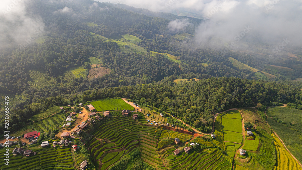 Fototapeta premium A scenic view of Pa Bong Piang rice terraces showcases the harmony between traditional farming and mountainous landscapes in northern Thailand.