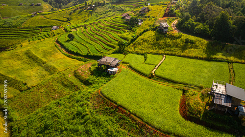 A scenic view of Pa Bong Piang rice terraces showcases the harmony between traditional farming and mountainous landscapes in northern Thailand.