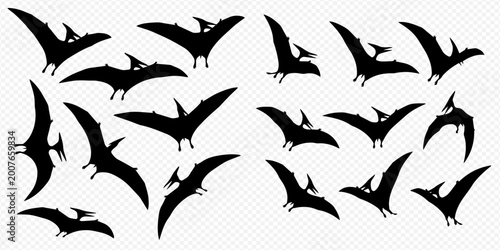 Photos Set of black pterodactyl silhouettes in various flying poses, prehistoric winged dinosaurs collection