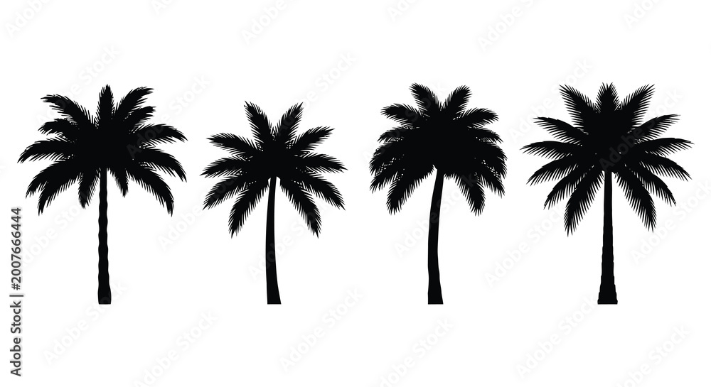 Fototapeta premium Four palm trees in black silhouette high quality