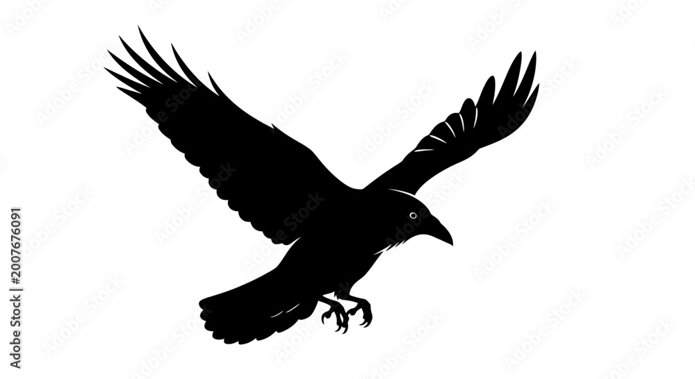 Fototapeta premium Flying raven silhouette vector illustration isolated on white