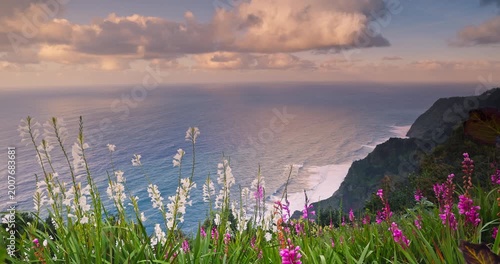 Scenic Landscape view Coastline of Madeira island with Wildflowers Atlantic Ocean and sun rays