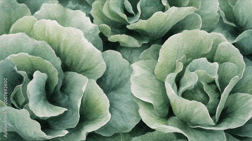 Fototapeta premium Watercolor illustration of lettuce leaves in full frame composition, dense overlapping leaves with light green tones and soft ruffled texture, ideal for fresh food background.