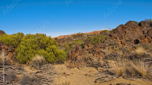 Konstfotografi rocky shrubland under a clear blue sky in the mountains of Teide national park,