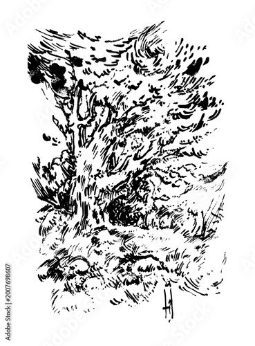 Abstract ink drawing of a weathered tree with expressive, textured brushstrokes in a minimalist black and white style.