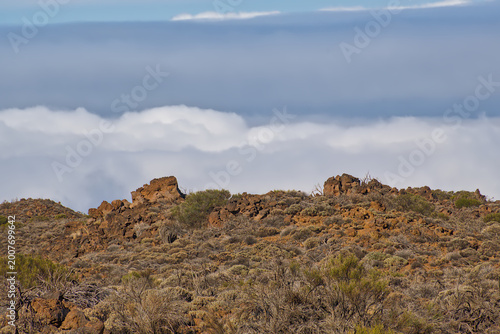 Konstfotografi Rocky shrubland above the clouds in the mountains of Teide national park, Tenerife