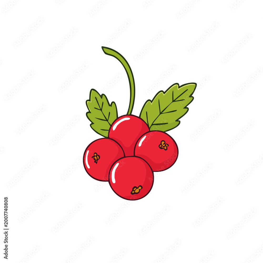 Obraz premium Cluster of bright red berries with green leaves on a delicate stem vector illustration