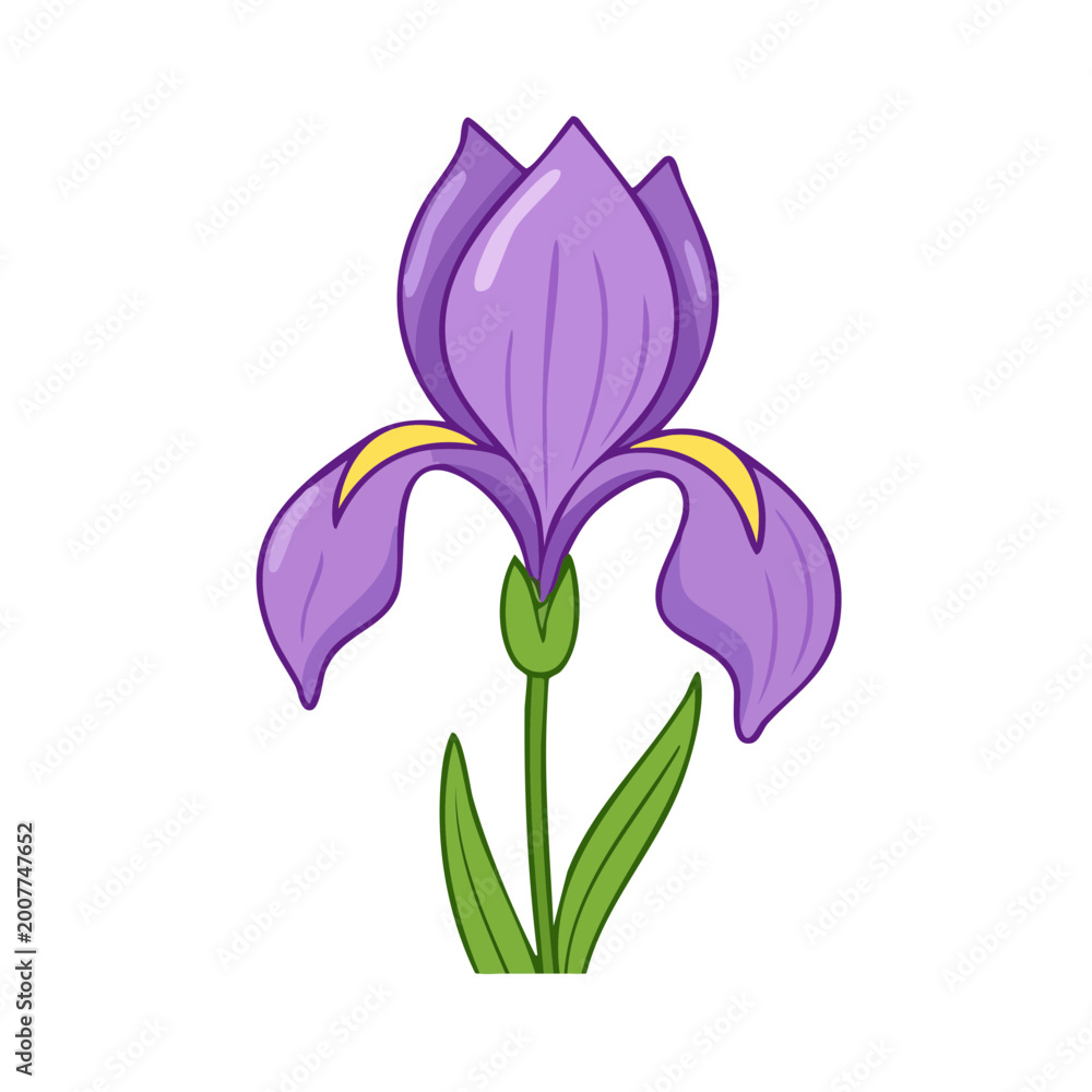 Fototapeta premium Vibrant purple iris flower with green stem and leaves, clean illustration