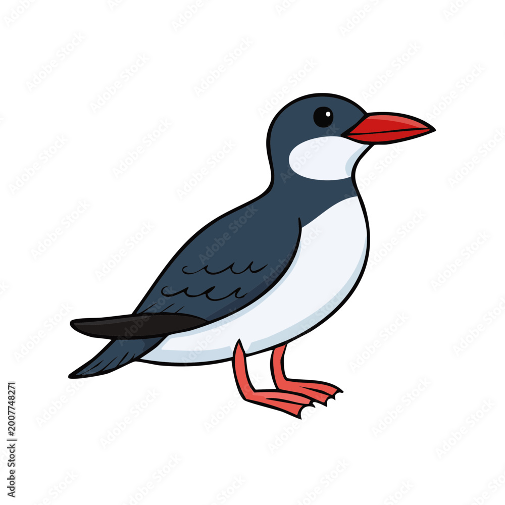 Fototapeta premium Cartoon seabird with red beak and feet standing side profile with white background
