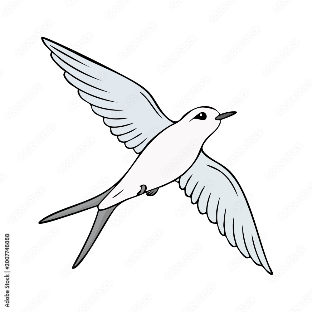 Obraz premium Graceful White Bird in Mid-Flight with Wings Spread Wide