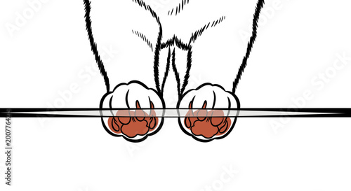 Close-up of a cat's paws balancing on a thin line, illustrating balance and agility