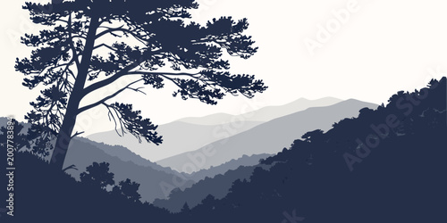Silhouette of distant mountains and forest with large pine tree in foreground mountain range mountains silhouette landscape wilderness background vacation excursion