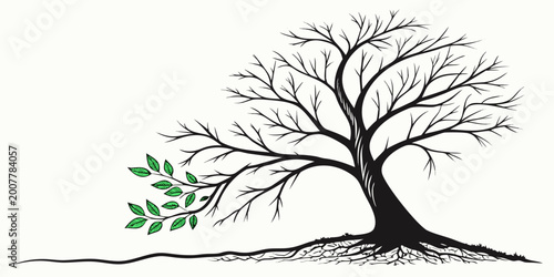 Photos Leafless tree silhouette with exposed roots and new green leaves emerging on a s