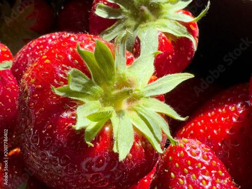 Frische Erdbeeren