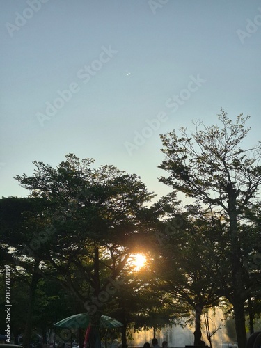 sunset in the park
