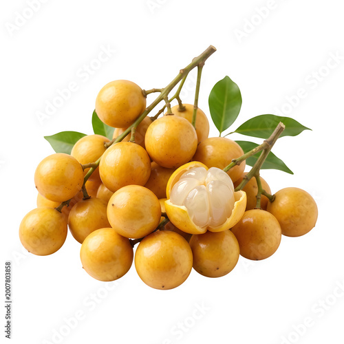 Burmese grape