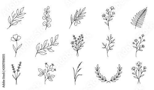 Принти на полотні Minimal One Line Botanical Vector Set with Hand Drawn Leaves Branches Wildflower