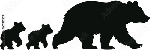 Fotografi Silhouette of a mother bear walking with two cubs on a white background baby bea