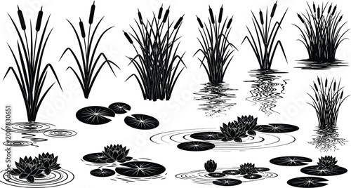 Canvastavla Aquatic plants collection with reeds grasses and lily pads illustration