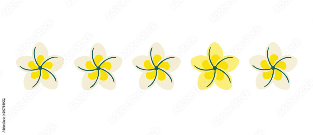Fototapeta premium Plumeria flower set flat vector illustration, tropical frangipani blossoms arranged in a horizontal row, minimalist botanical icon collection for summer design projects, isolated on white background.