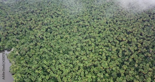 Drone tilt up from Amazon rainforest canopy to horizon revealing jungle landscape