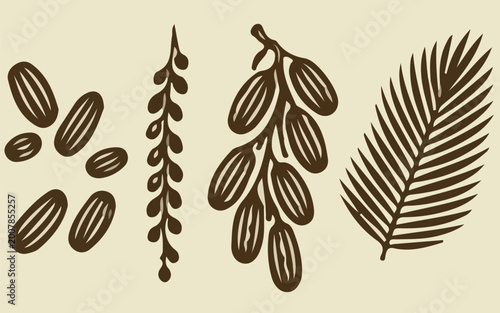 Schilderij op canvas date palm fruit bunch frond botanical illustration brown flat silhouette vector