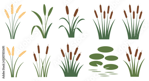 Tablou pe pânză Water Plants Collection: Assortment of aquatic plants for nature-themed design