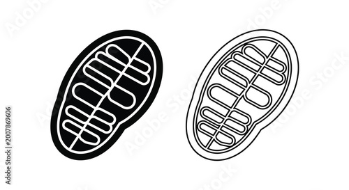 Foto Mitochondria illustration detailed black and white depiction of cellular powerho