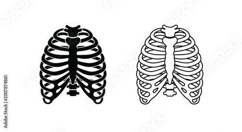 Bild auf Leinwand Anatomical illustration of the human rib cage front and side views