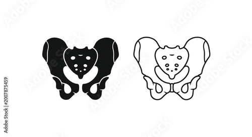 Tableau sur toile Human pelvis anatomy illustration black and white depiction of skeletal structur