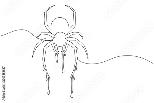 Spider continuous one line drawing minimalist style isolated outline vector illustration design