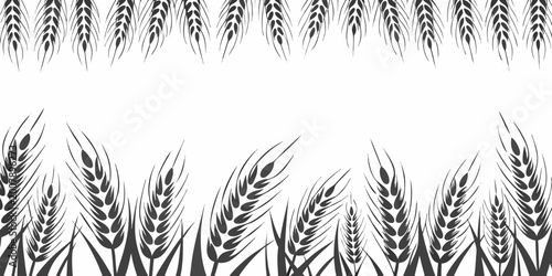 Tableau sur toile Wheat stalks illustration on a white background