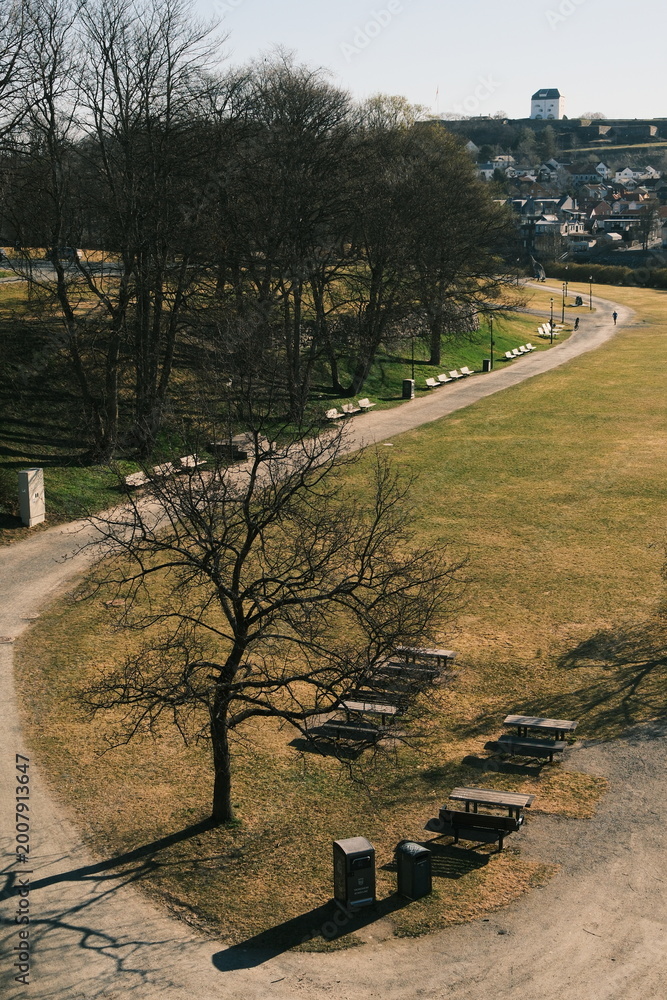 Naklejka premium Park in Trondheim by the river