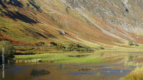Glencoe views