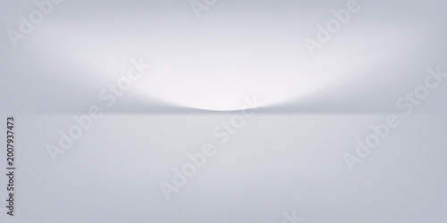 Obraz na plátně White grey studio room