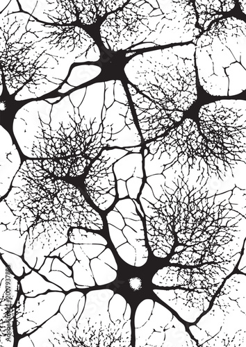 Black and White Grunge Texture Distressed Overlay Background