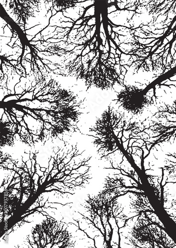 Black and White Grunge Texture Distressed Overlay Background