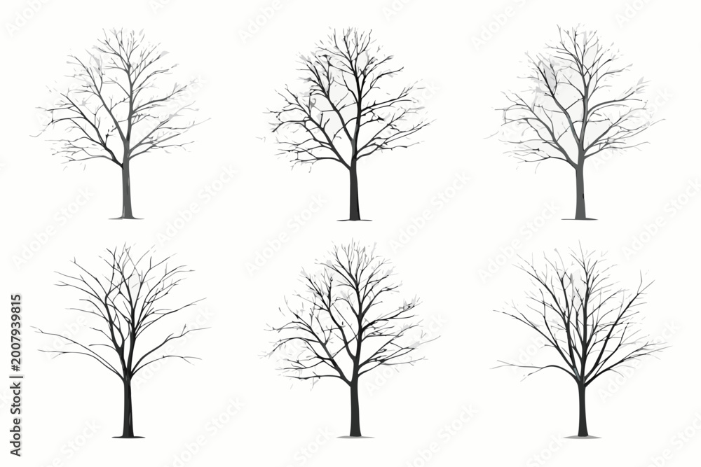 Fototapeta premium Bare tree silhouettes six variations on a white background