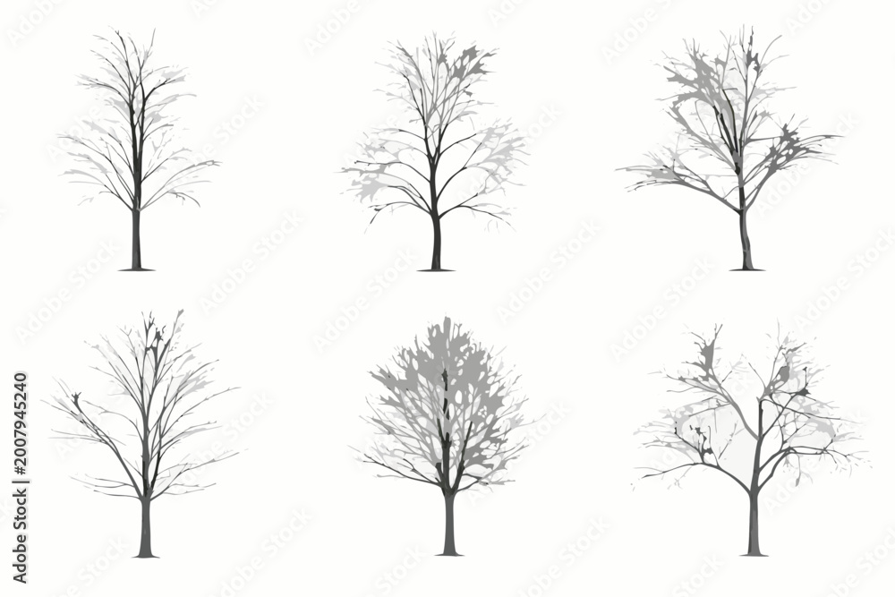 Fototapeta premium Bare tree silhouettes six variations on a white background