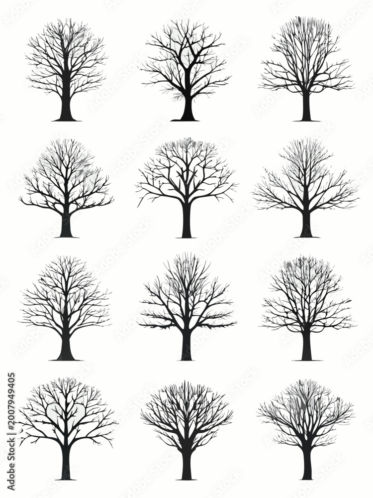 Obraz premium Bare tree silhouettes collection on a white background