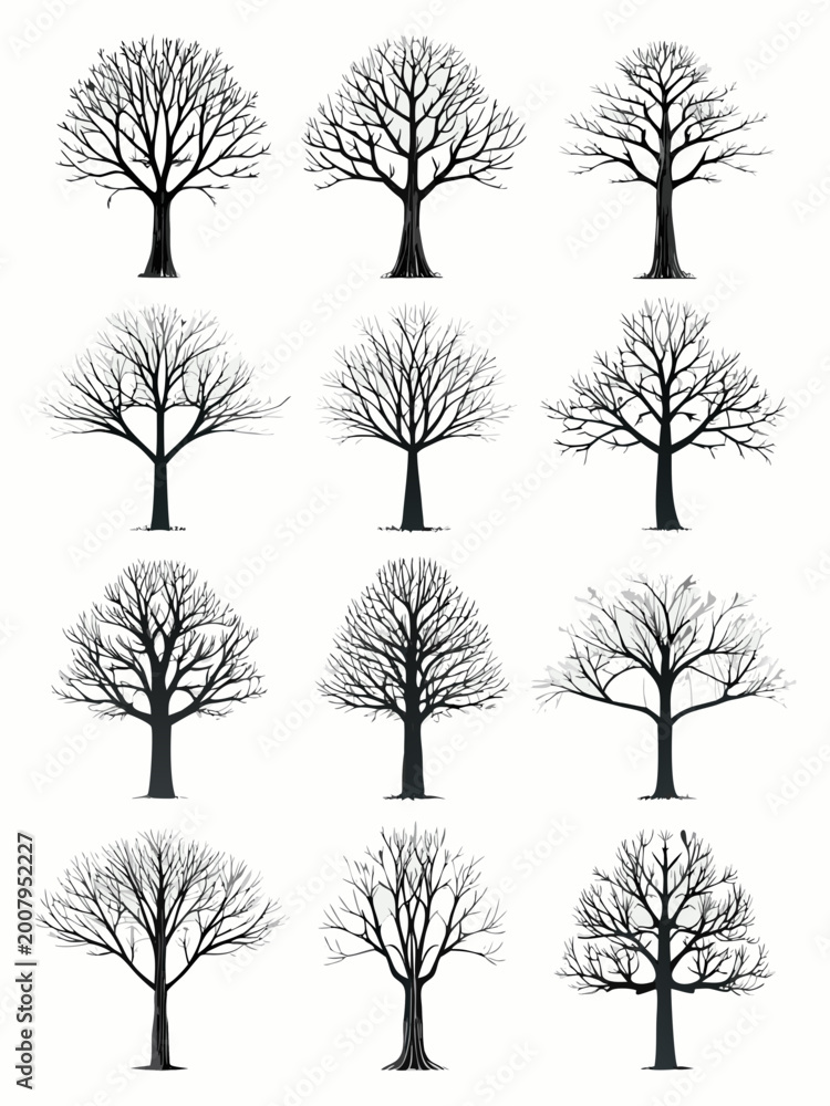 Obraz premium Bare tree silhouettes twelve variations on white background