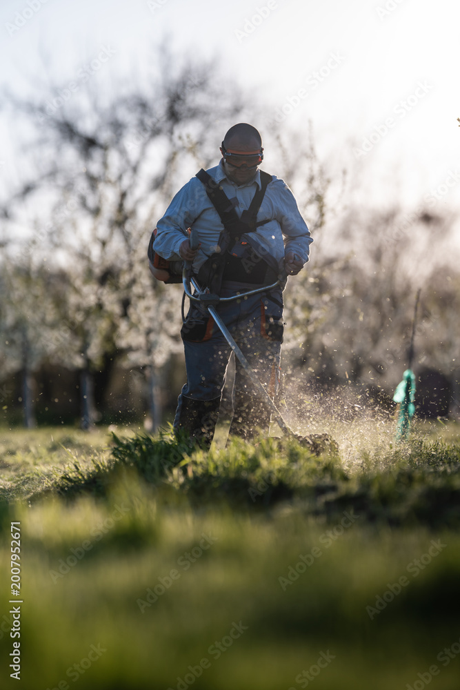 Naklejka premium Gardener trimming grass with a string trimmer tool