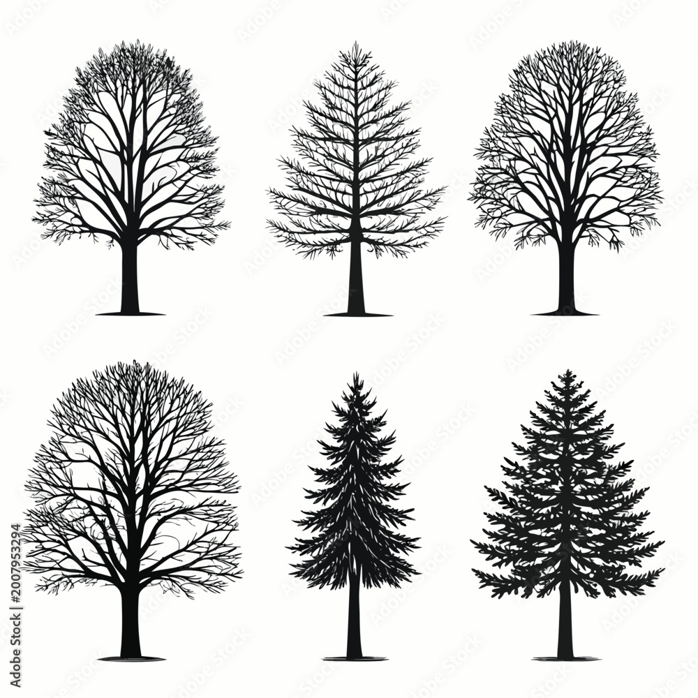 Fototapeta premium Six tree silhouettes line art vector illustration on white background