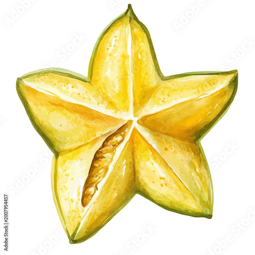 Tableau sur toile Starfruit Slice, vibrant watercolor vector illustration with flowing and detailed brush strokes, isolated on a white background